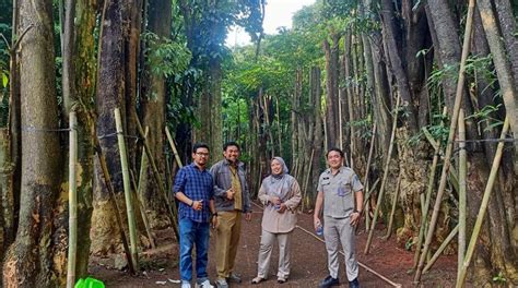 Kunjungan Tim Sudin Jakarta Pusat Ke Nursery Pesona Tamanindo