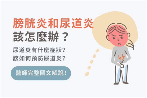 膀胱炎和尿道炎怎麼辦？如何治療與預防？醫師圖文解說！ 美的好朋友