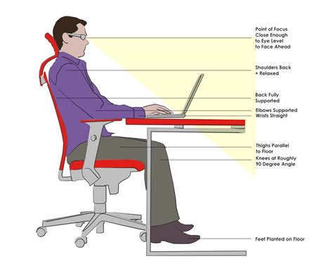 Modern Ergonomic Furniture Collectic Home