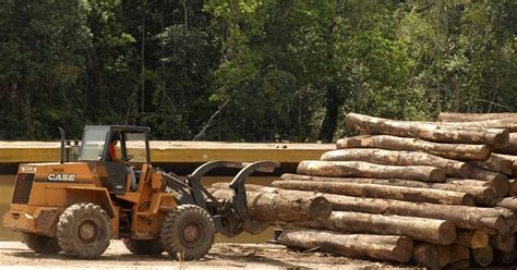 Governo estuda liberar exportação de madeira da Amazônia