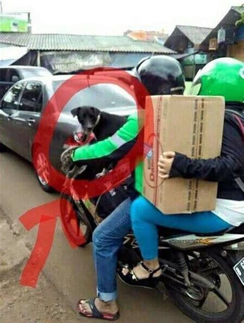 Potret Nyeleneh Driver Ojol Bawa Barang Bareng Penumpang Auto Jadi