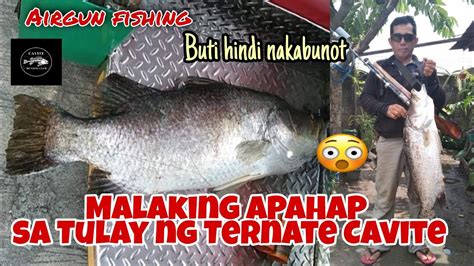 Malaking Apahap Sa Tulay Ng Ternate Cavite Pinaka Malaking Huli Namin