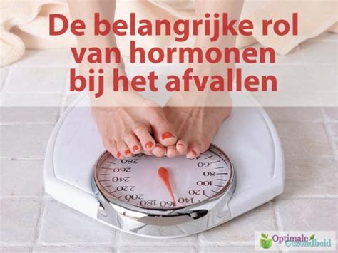 De Rol Van Hormonen Bij Het Afvallen