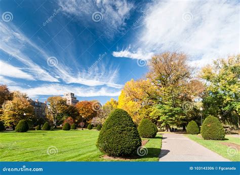 Boston Common in fall stock photo. Image of commons - 103143306