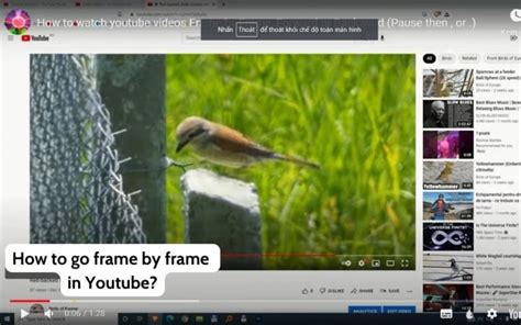 How To Go Frame By Frame In Youtube Detailed Guidance In 2023