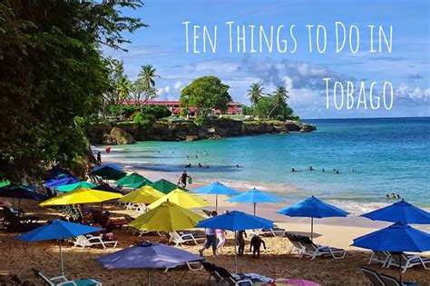 Ten Things To Do In Tobago Wandering Educators