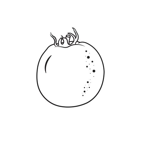 One Whole Tomato Outline Line Art Of Tomato On White Background Vector ...