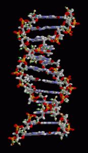 Biopolymer - History, Structure, Classification, Types, Uses and Benefits