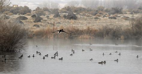 Hagerman Wildlife Management Area: A gem of a location for wildlife ...