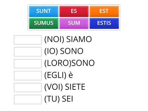 VERBO ESSERE SUM Match Up