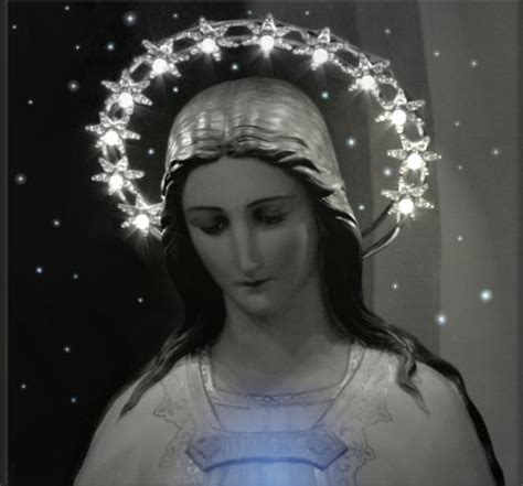 Virgin Mary Holy Spirit And Immaculate Heart Of Mary Image Divine