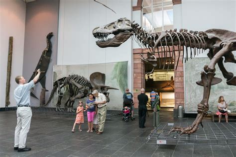 Naturmuseum Senckenberg - One of the Top Attractions in Frankfurt