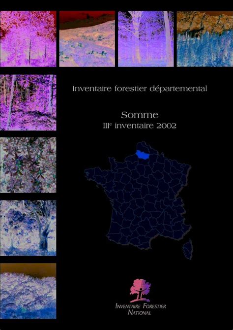 PDF Somme INVENTAIRE FORESTIERinventaire Forestier Ign Fr IMG Pdf