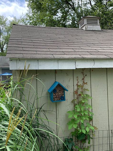 Snapklik.com : Mason Bee Houses And Supplies : Hand Made Bamboo Tube