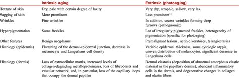 Differences Between Intrinsic And Extrinsic Photoaging