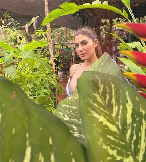 Elnaaz Norouzi Hot Pictures Wiki Bio Height Weight