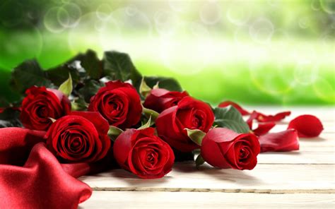 Red Roses Valentines Day Wallpaper Wallpaperforu