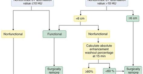 Which Best Describes A Secondary Disorder Of Endocrine Function