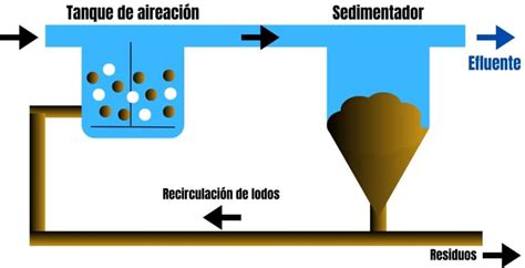 Tipos De Lodos Activados Principales Procesos Blog