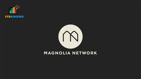 Who Owns Magnolia Network? Facts You Need to Know