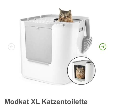 Cat WC Katzentoilette Kaufen Auf Ricardo