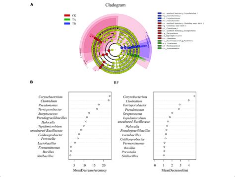 A Bacterial Taxa Significantly Differentiated Between Three