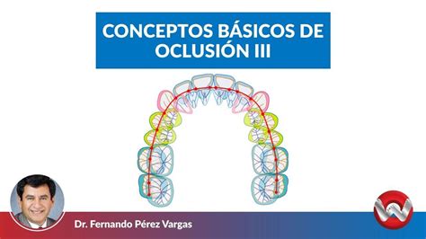 Conceptos B Sicos De Oclusi N Iii Odonto Science