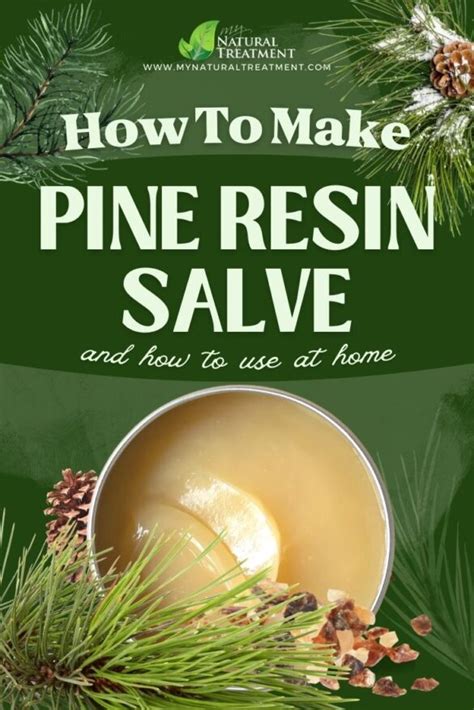 Amazing Pine Resin Salve Recipe With Uses 🌲 3 Ingredients