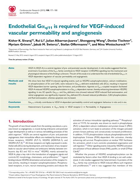 PDF Endothelial Gα q 11 is required for VEGF induced vascular