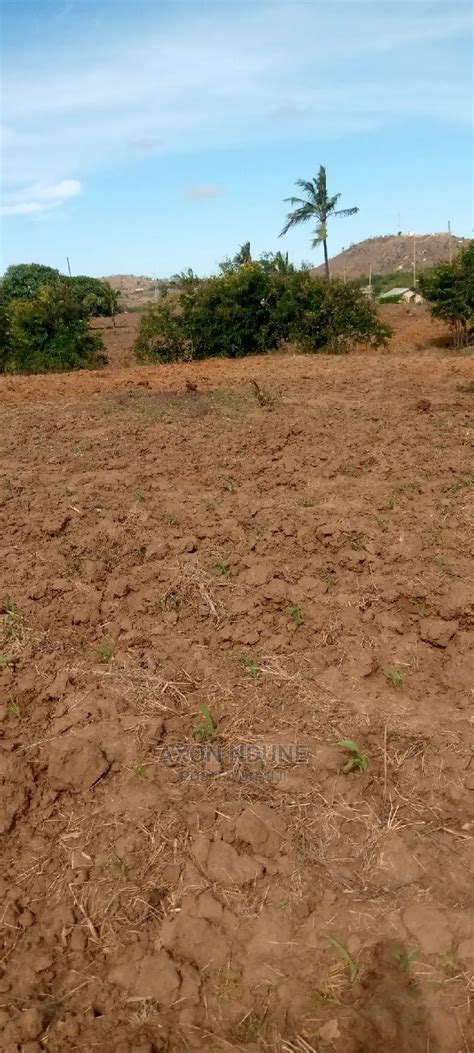 Prime Land For Sale 2 Acres In Kiembeni Land Plots For Sale Axon