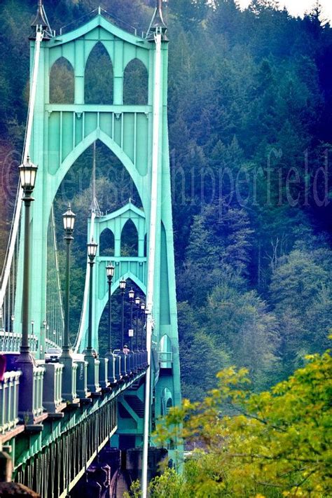 Pin by Julie Kirby on Portland Bridges | Oregon travel, City landscape, Portland bridges