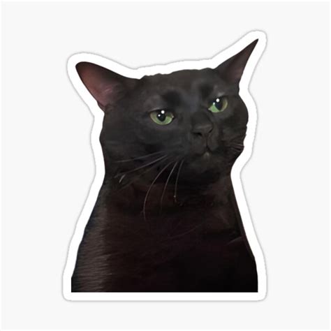 "Black Cat Meme" Sticker for Sale by Kaijju | Redbubble