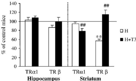 Effect Of Ptu Mmi With Or Without T Treatment On Rc Rhes And Camkii