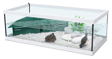 Le Terrarium Ou Aquaterrarium Pour Tortue Notre Avis Univers Terrarium