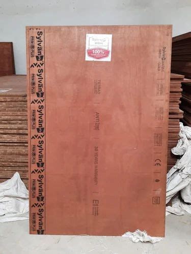 Sylvan Primo Plus Plywood Boards For Furniture Size Sq Ft X Inch