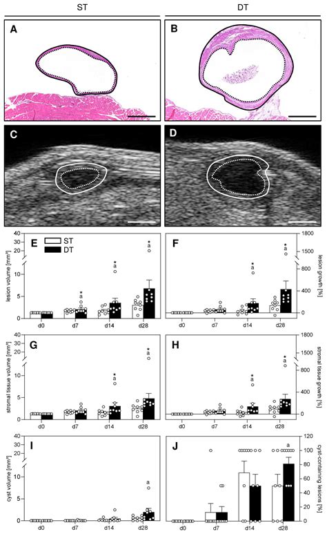 Ijms Free Full Text The Presence Of Pre Existing Endometriotic