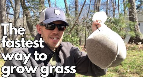 How To Pre Germinate Grass Seed A Complete Guide Youtube