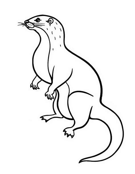 Sea Otter Coloring Page