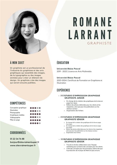 Cv Original Les Plus Beaux Mod Les Du Web Canva