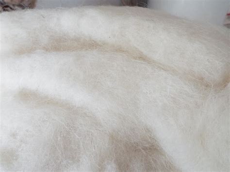 Navajo-churro Sheep Wool Roving White 6 Ounces - Etsy