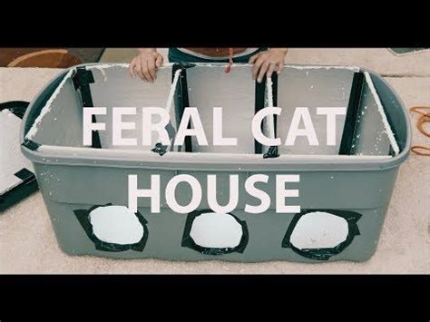 Feral cat house easy diy – Artofit