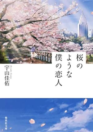 Sakura No You Na Boku No Koibito Novel Anisearch