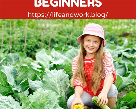 Gardening - Vegetable Gardening Tips For Beginners