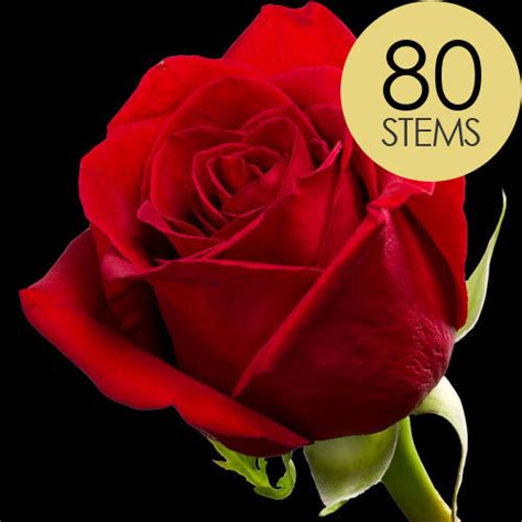 Buy 80 Long Stemmed Roses Interrose