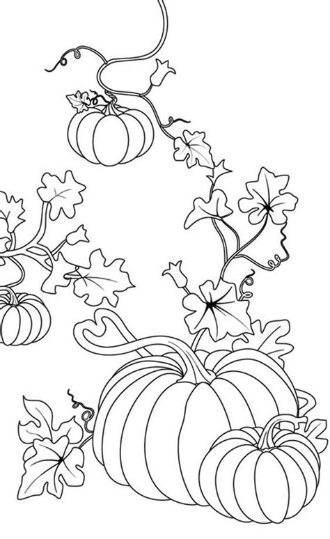 Pumpkin Vine Drawing at GetDrawings | Free download