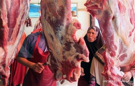 Tiga Cara Dki Tekan Harga Daging Sapi