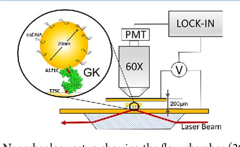 Figure 1 from Identifying Chaotropic and Kosmotropic Agents by ...