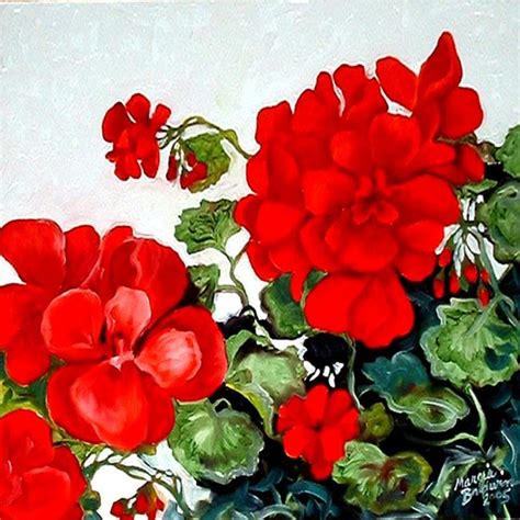 Red Geranium No 2 By Marcia Baldwin From Florals