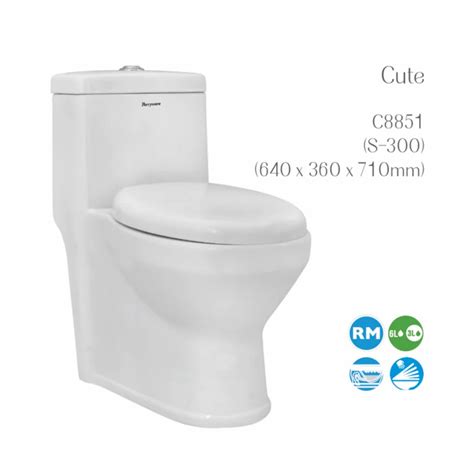 Ceramic Floor Mounted Parryware Cute Single Piece Water Closet Rimless