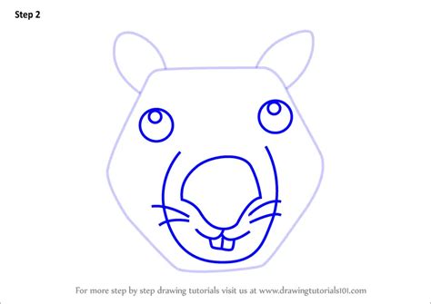 Learn How To Draw A Wombat Face For Kids Animal Faces For Kids Step